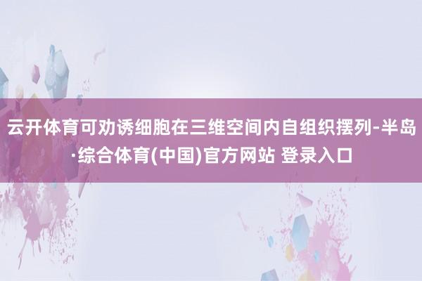云开体育可劝诱细胞在三维空间内自组织摆列-半岛·综合体育(中国)官方网站 登录入口