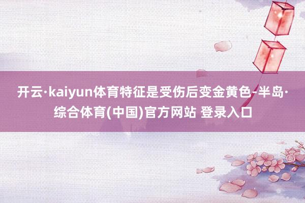 开云·kaiyun体育特征是受伤后变金黄色-半岛·综合体育(中国)官方网站 登录入口