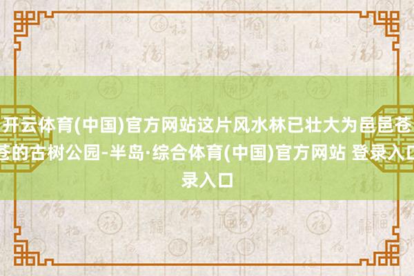 开云体育(中国)官方网站这片风水林已壮大为邑邑苍苍的古树公园-半岛·综合体育(中国)官方网站 登录入口