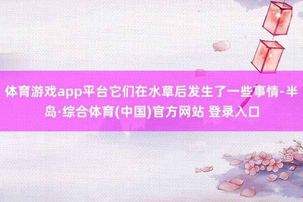体育游戏app平台它们在水草后发生了一些事情-半岛·综合体育(中国)官方网站 登录入口