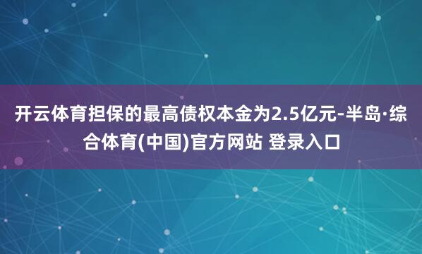 开云体育担保的最高债权本金为2.5亿元-半岛·综合体育(中国)官方网站 登录入口